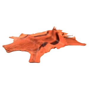 Springbok Orange